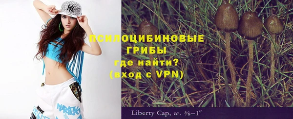 ALPHA-PVP Армянск